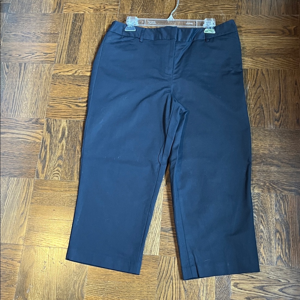 Rafael’s Curvy Black Cropped Pants